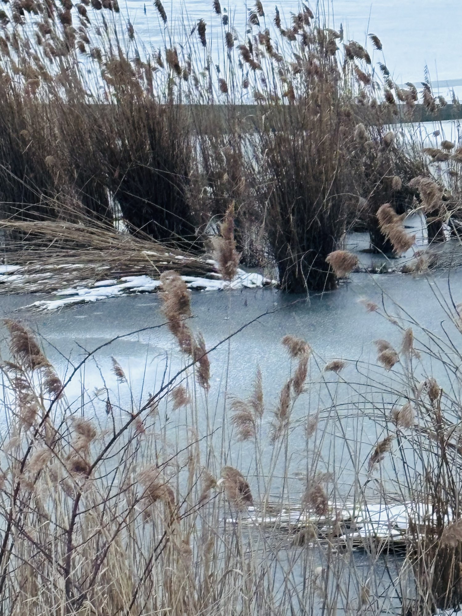 I need to look clearly now.