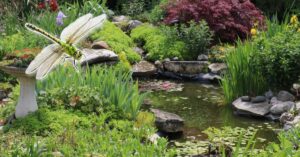 Tips for building wildlife ponds and gardens