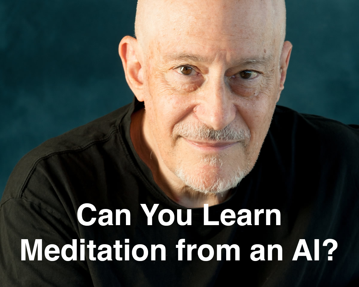 Can you learn meditation from AI? - Shinzen Young and
