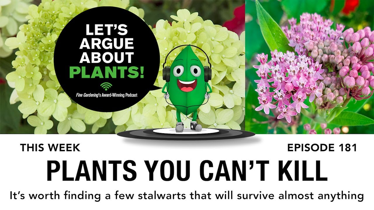 Episode 181: Plants that cannot be killed