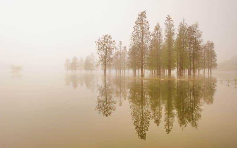 Explore silent quotes for inspiration and reflection
