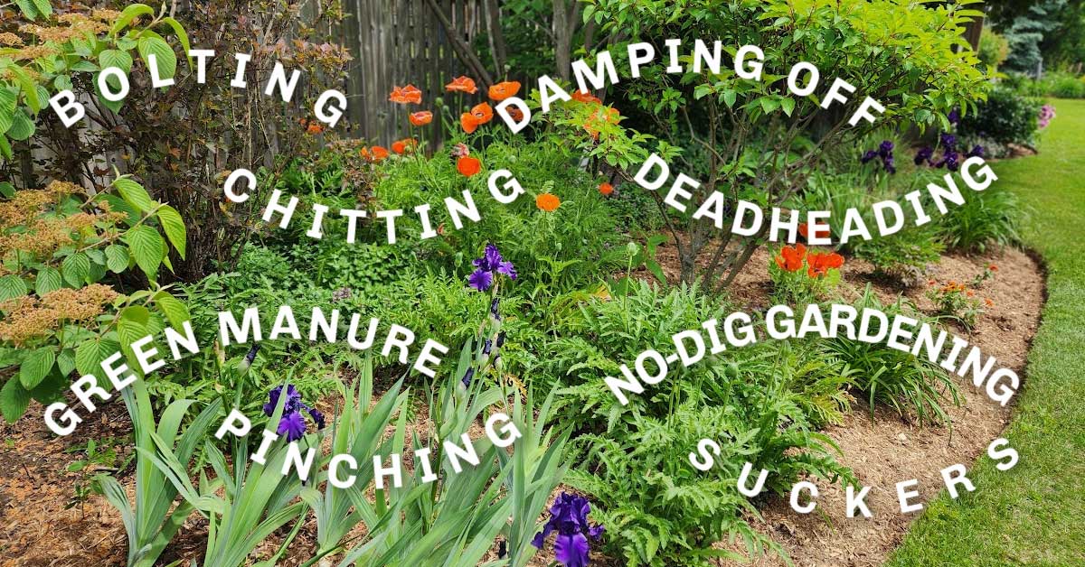 Garden stories: Strange terms that confuse and make new gardeners interesting