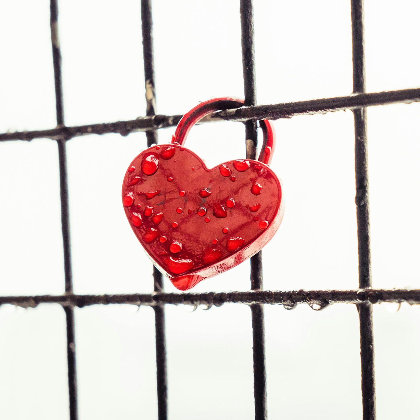 Mind Wisdom with Jack Cornfield - ep. 288 - Trustworthy Mind: Letting out the victim, resilience of awakening