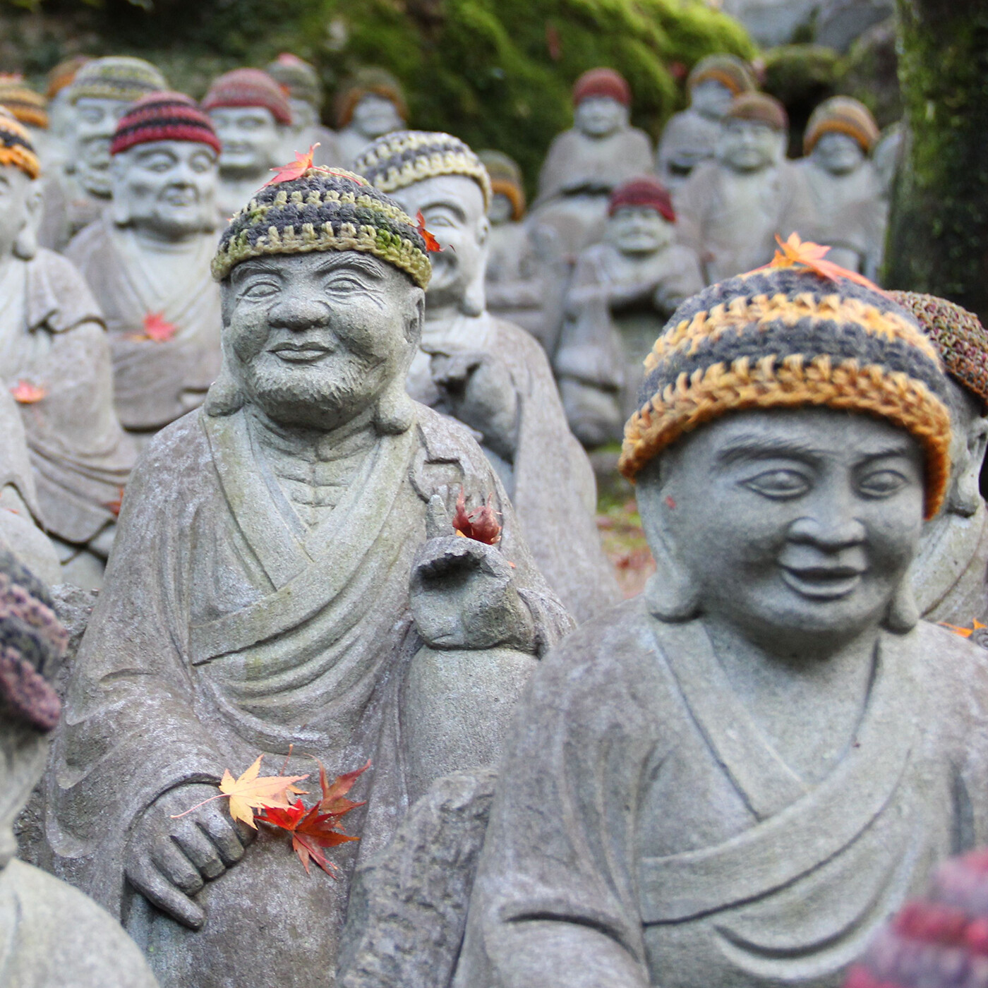 Mind Wisdom with Jack Cornfield - ep. 289 - Still We Stand Up: Great Rotation Bodhisattvas with Trudy Goodman