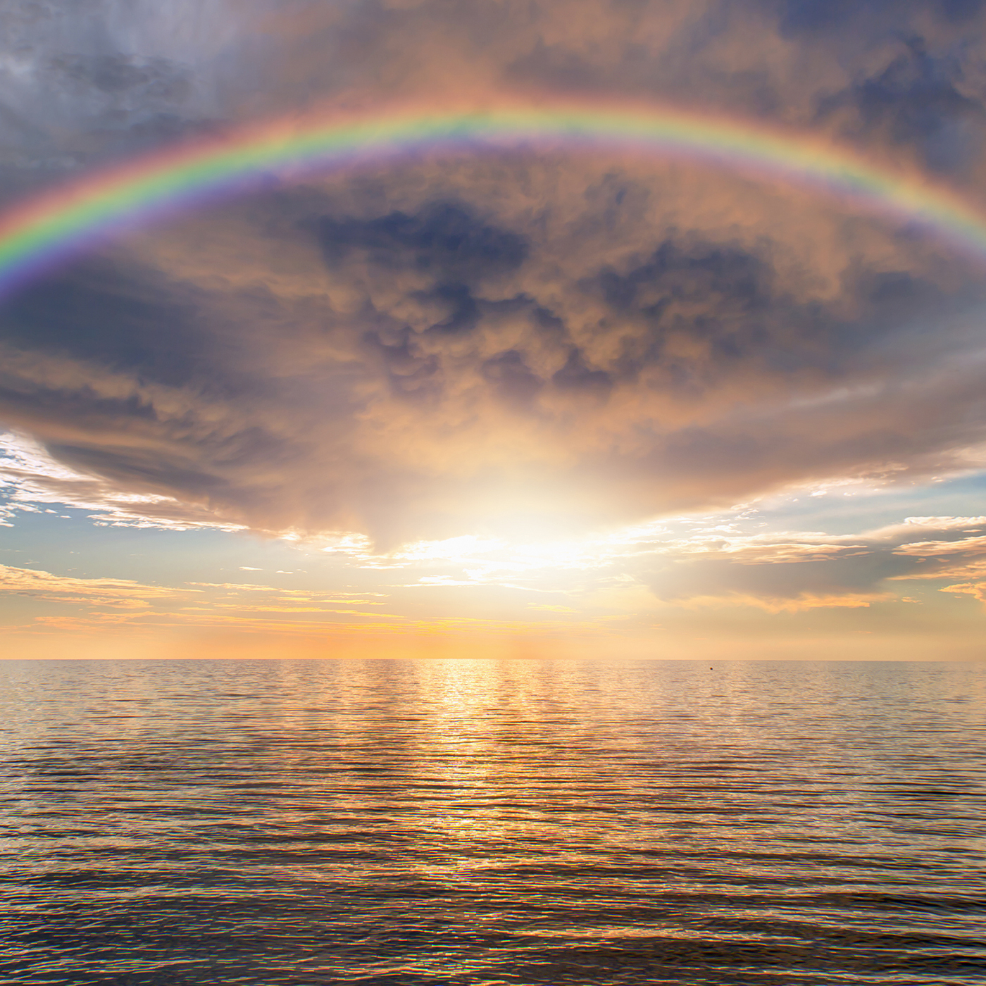 Mind Wisdom with Jack Cornfield - ep. 291 - Calm Seas and Storms: Navigate the Duality with the Ocean Robbins