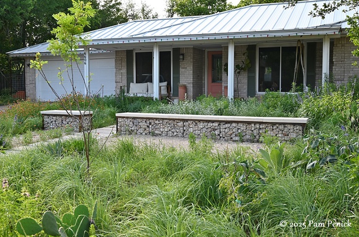 Native son Danny Bravens' lawnless prairie garden