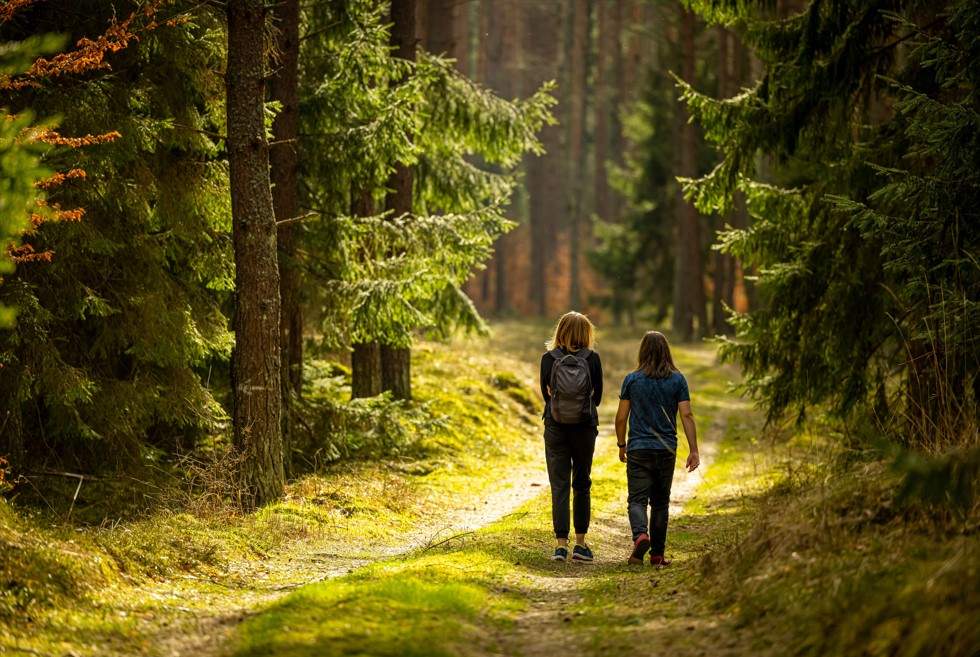 Naturopathy: Find freedom from technology overload