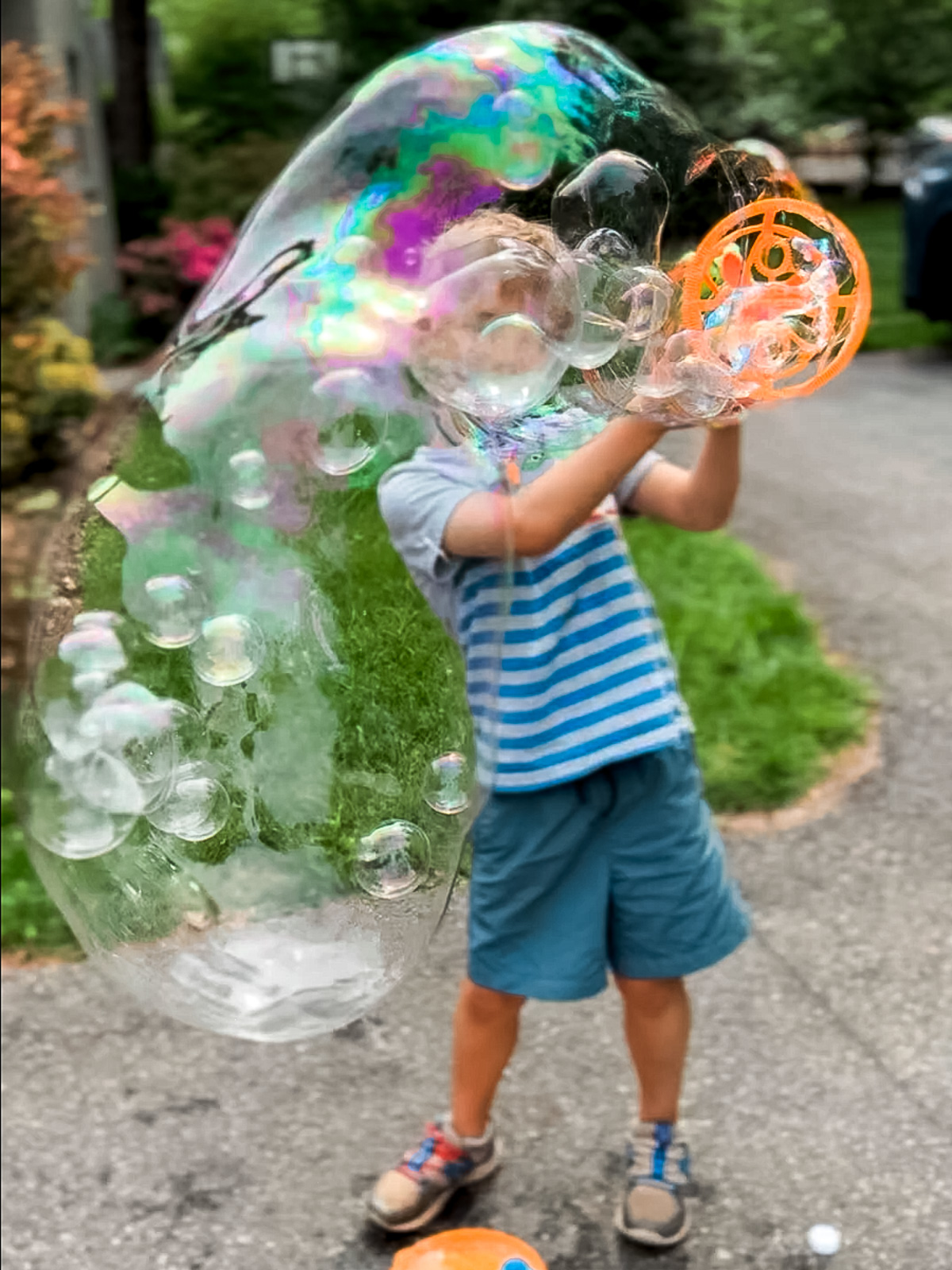 Recent: bubbles and books