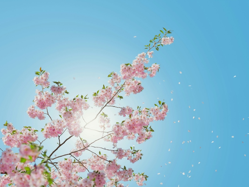 Soak in the summer sun safely with these four simple strategies for summer comfort