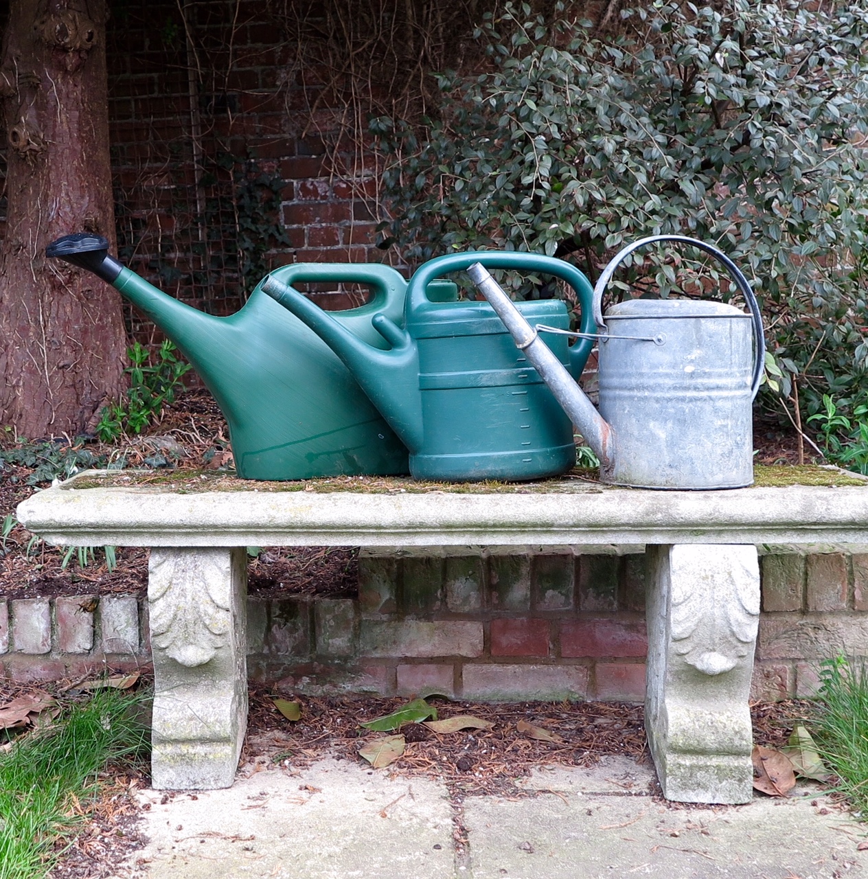 10 easy gardening tips for more gardens, less work