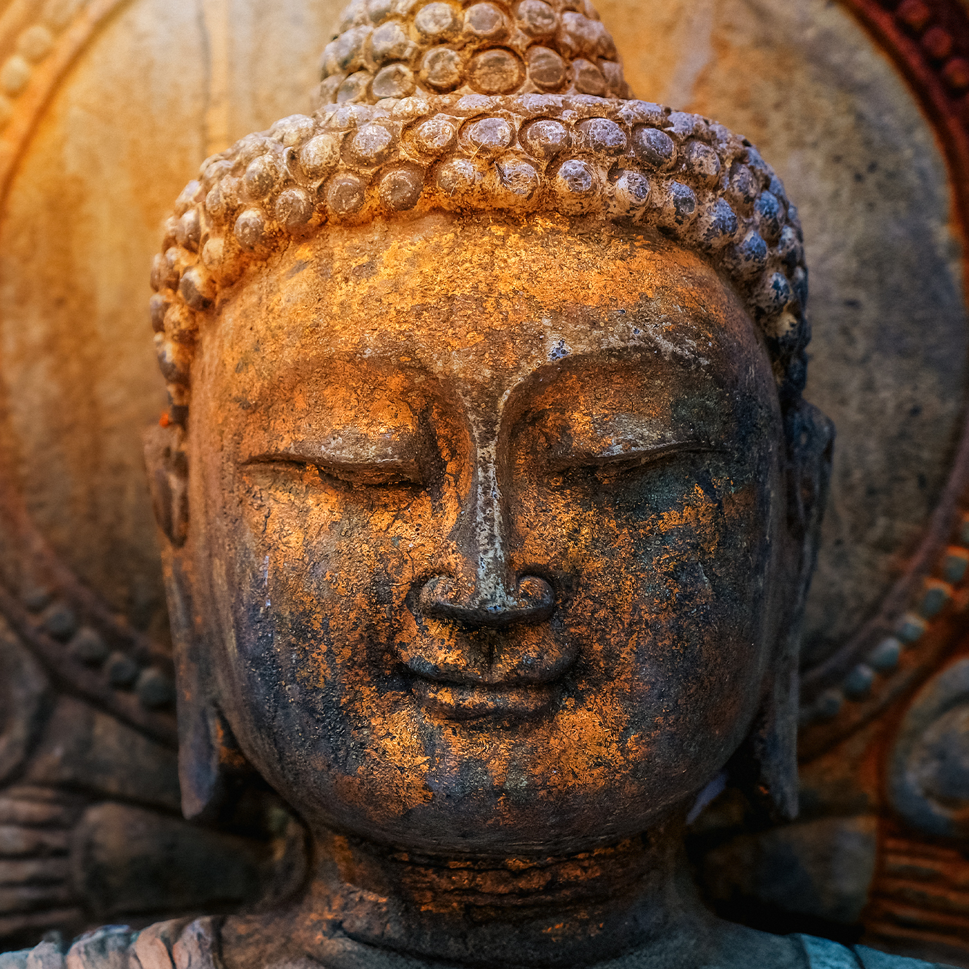 Bhnn Guest Podcast - EP. 210 - Virya: Courage, energy and trust with Buddhist teacher Trudy Goodman