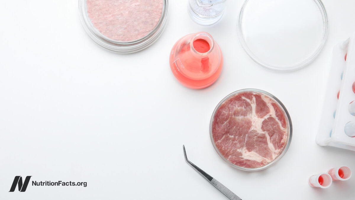 Chemical Safety, Cultivated Meat, and Our Health