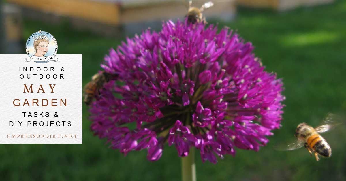 Garden Checklist for May: Tasks and DIY Projects