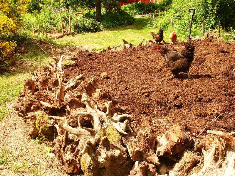 Garden decoder: What is "gugelkultur"?