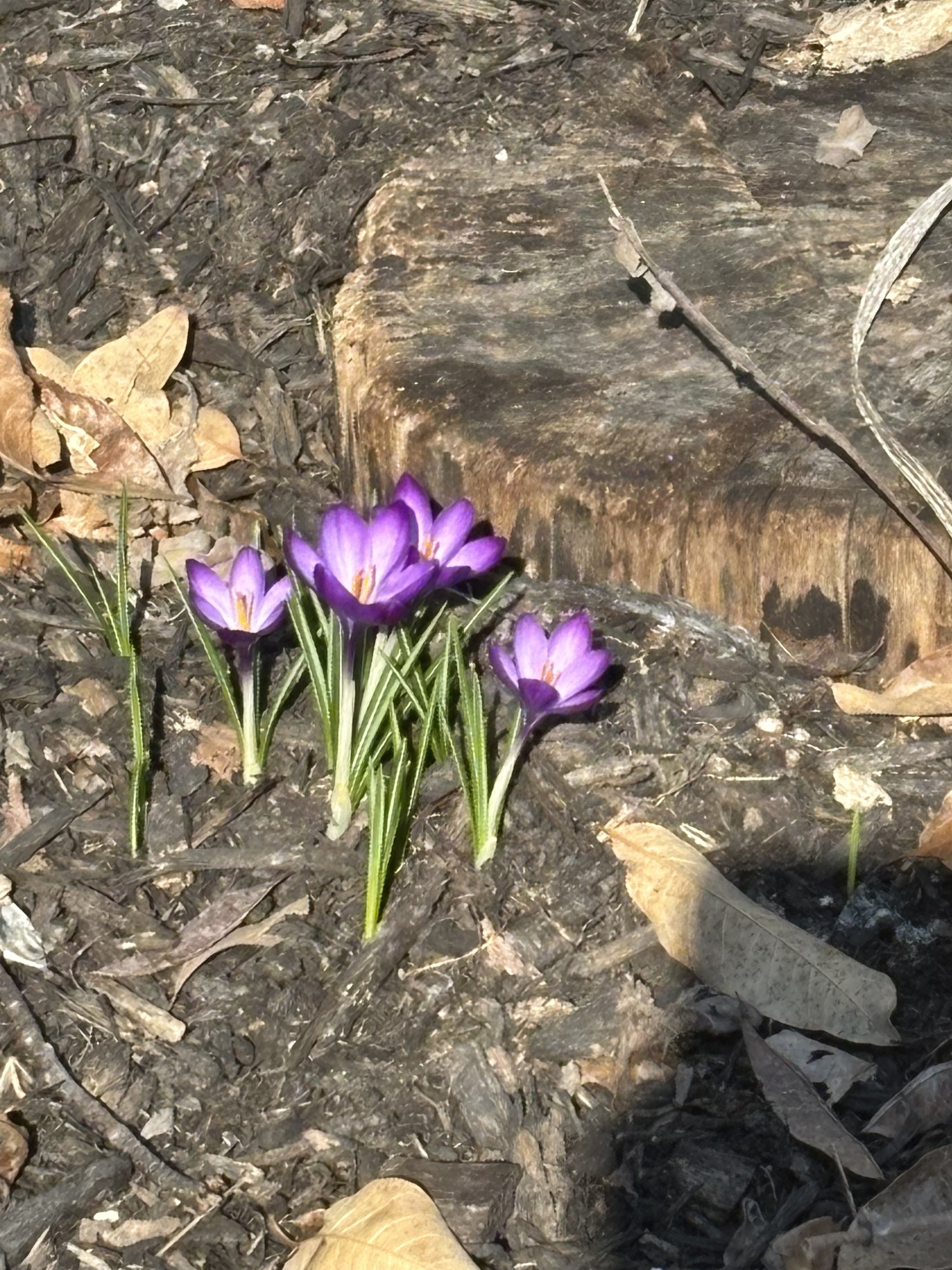 Hard work doesn't have to be rewarded.