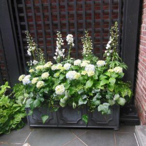 Hidden Gardens of Beacon Hill Annual Tour, Part 2