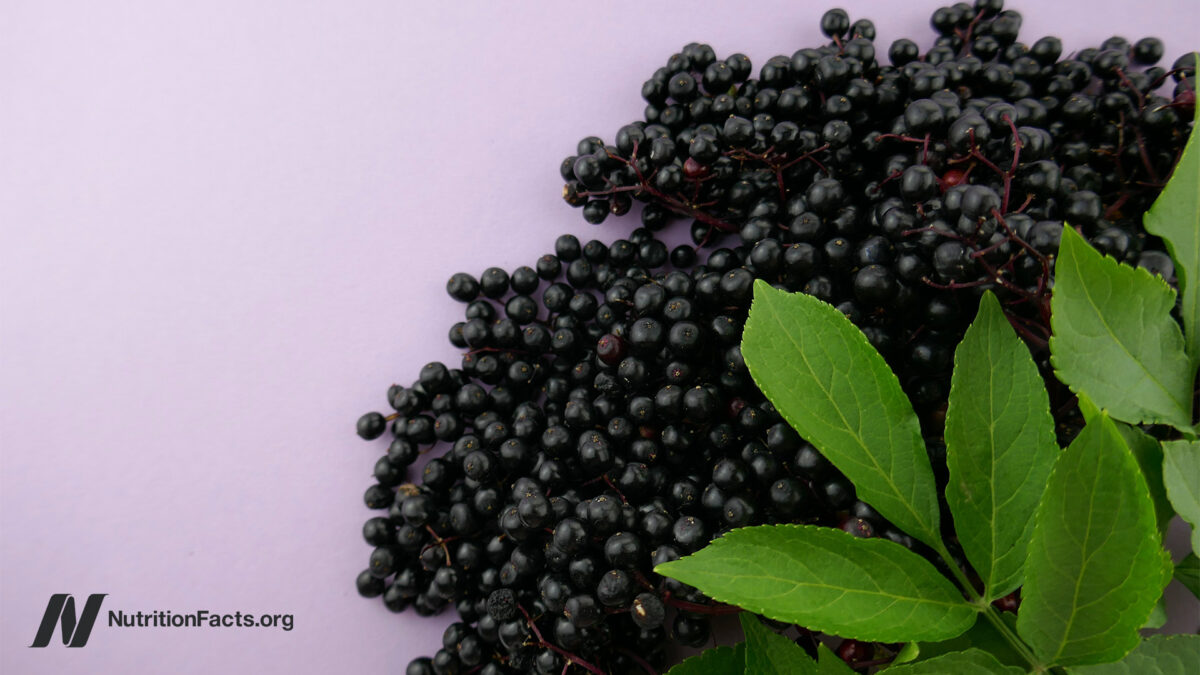 How about elderberry, echinacea and cranberries because of colds and flu?