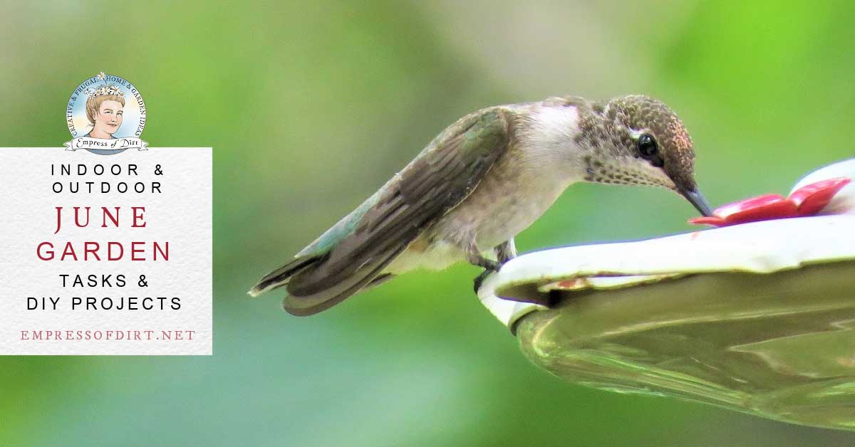 June Garden Checklist: Tasks and DIY Projects