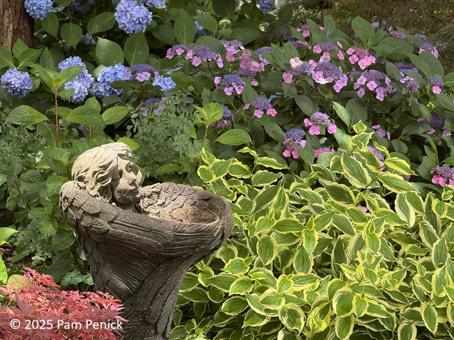 Linda Pittman's Blue Suede Shade Garden: Memphis Fling