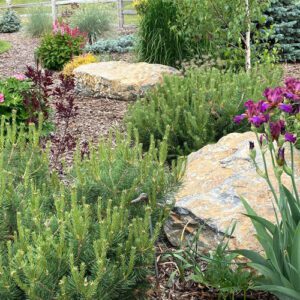 Nina's Spring Garden in Montana