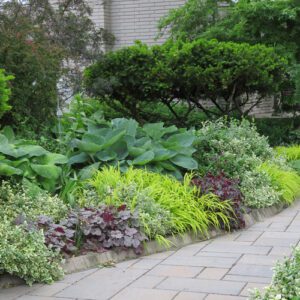 Ontario Brenda's front yard