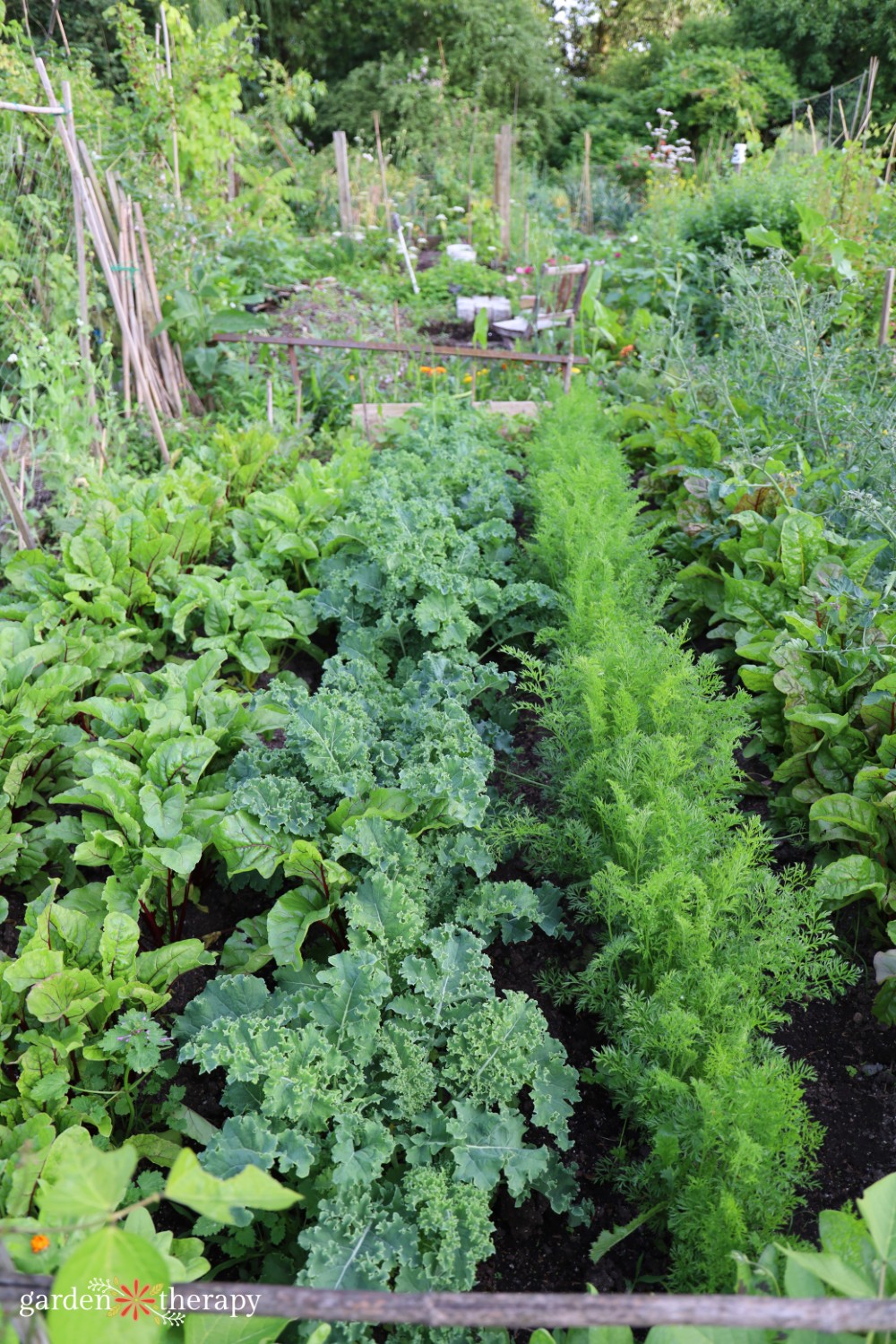 Plant inherited vegetables to increase and extend the harvest