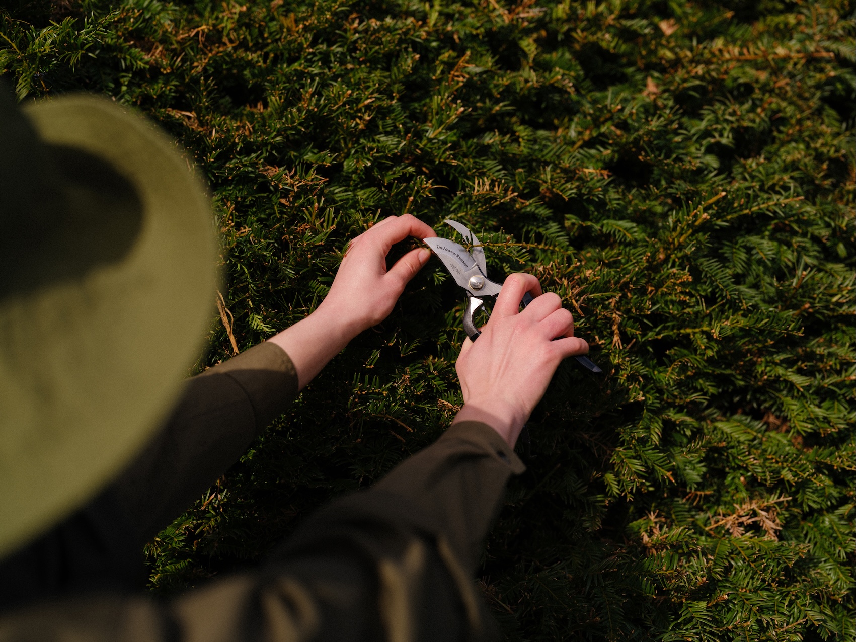 Pruning and Naturalism: New Rules