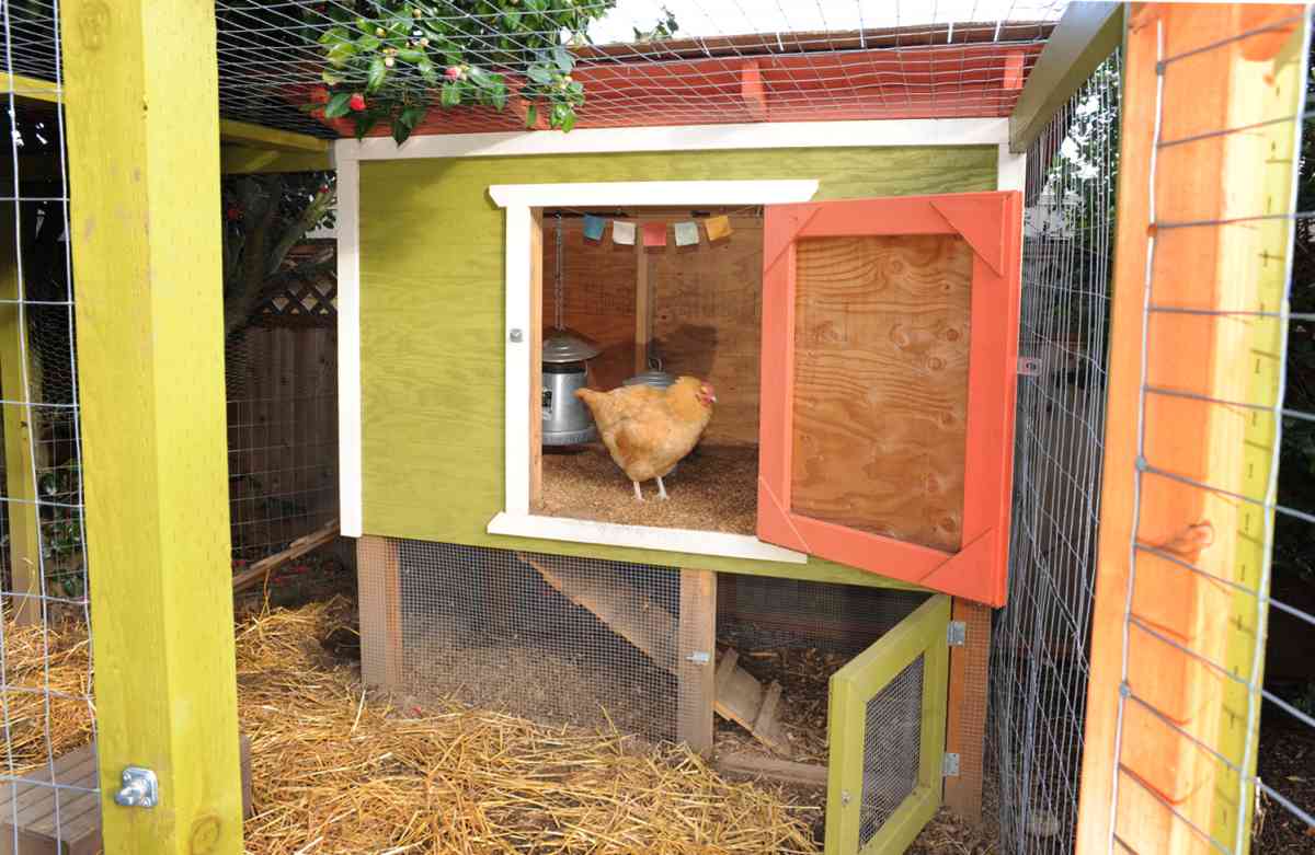 What do you need inside the chicken coop?