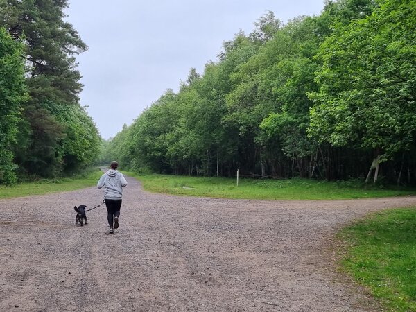 ia Are you a real runner? Why are there places at every pace?
