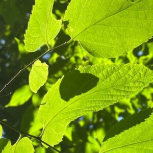 Are you considerate? Are you serious?