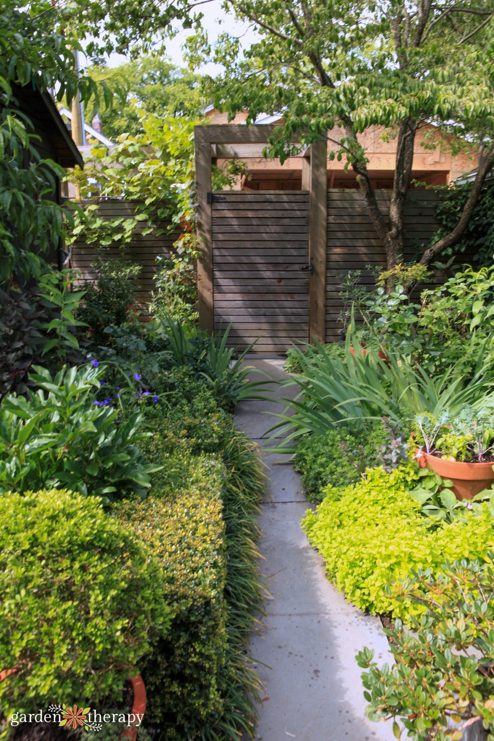 August 15th Gardening Task Gardening Task thrives