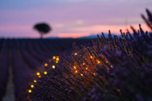 Bedtime Guided Meditation for Better Sleep