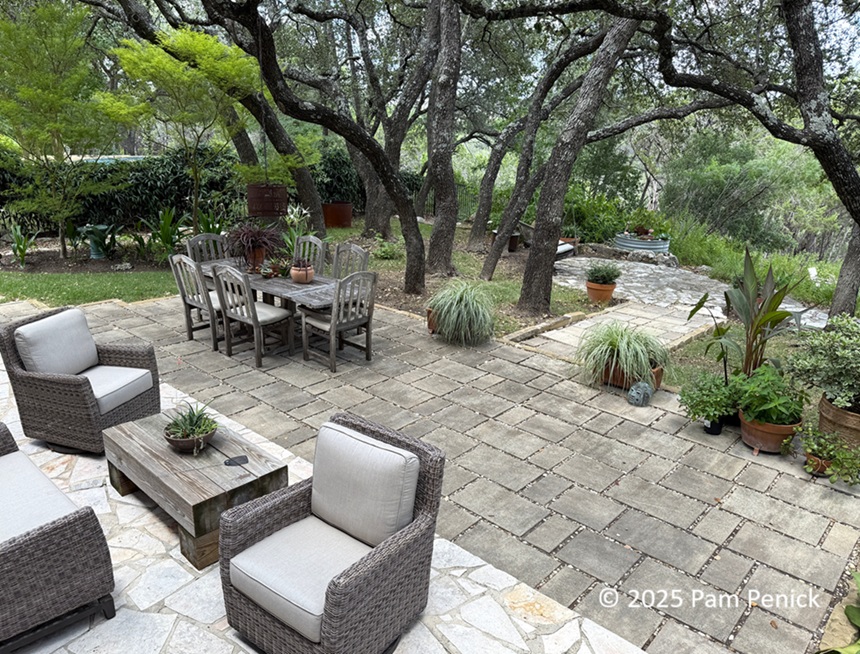 Canyonside garden for outdoor living