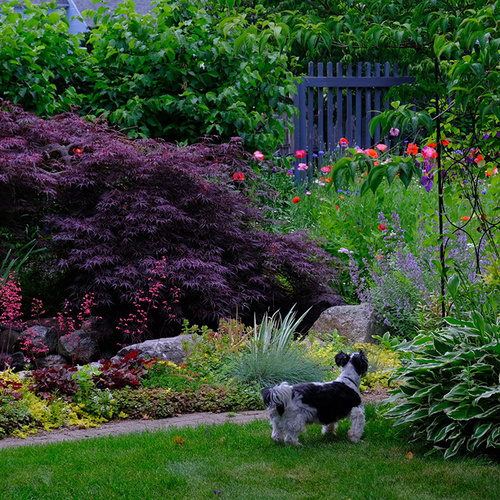 Deedee, Lulu, and Luke in Tingshu Gardens