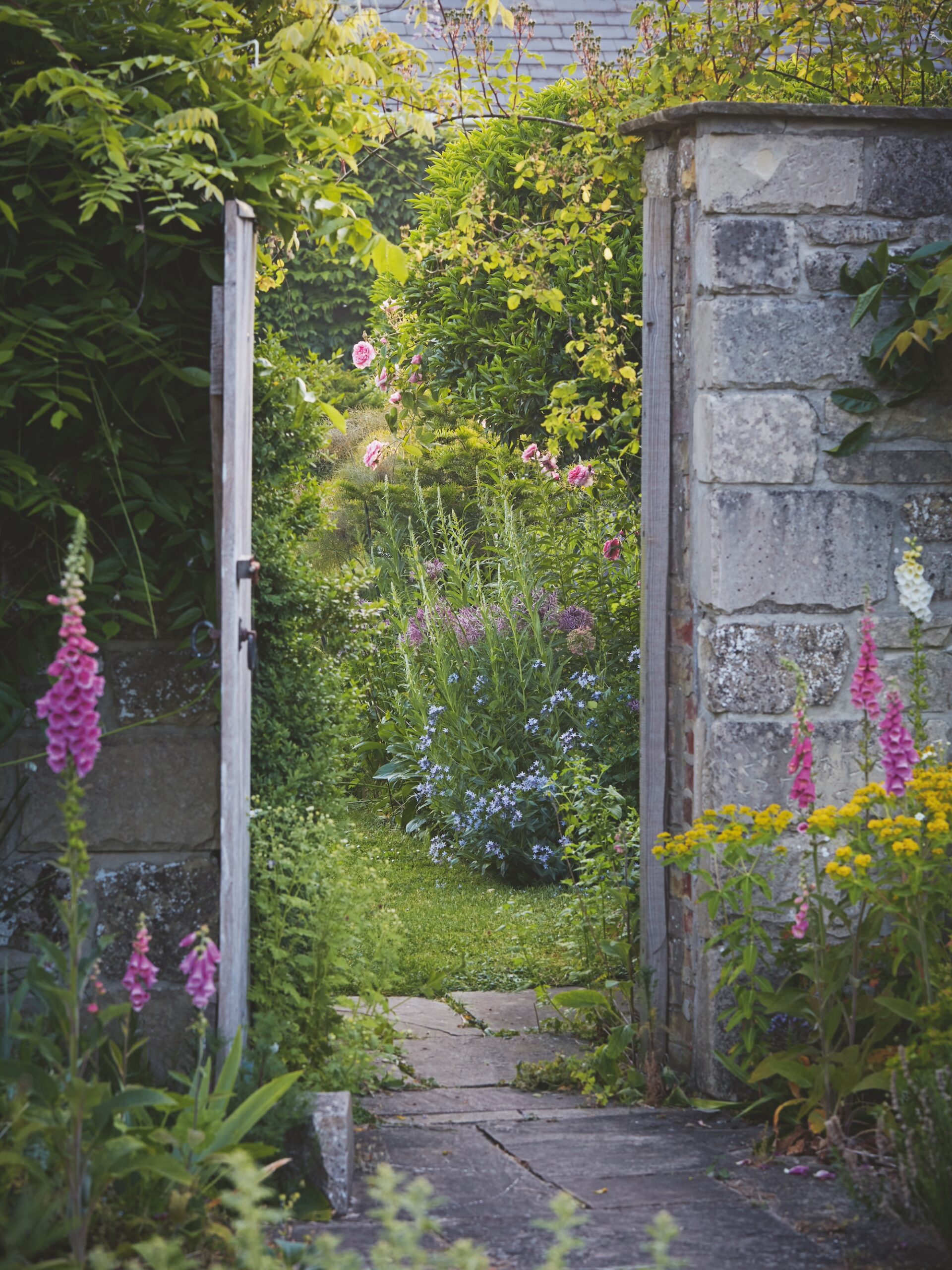Garden Visit: British landscape designer and rose enthusiast Tania Compton's Spillsbury Farm