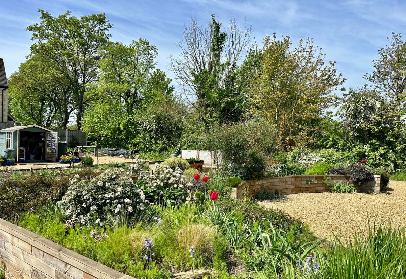 Gardening Grants help Community Gardens thrive