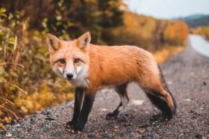 Guided Meditation on Acceptance