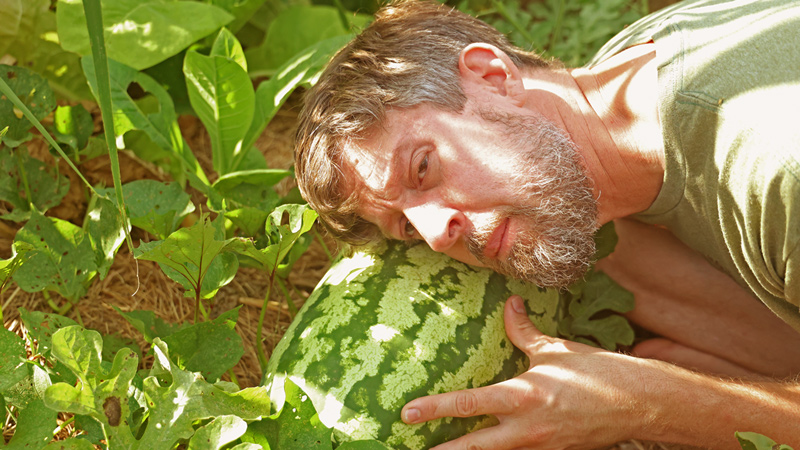 How to tell if you're ready to choose a watermelon