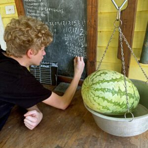 Landlace watermelon experiment (2025)