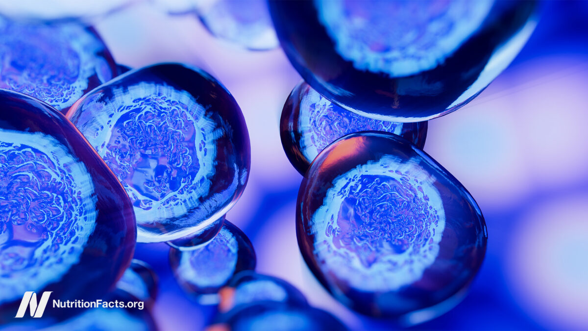 Nutritional ingredients that can cause cancer to spread