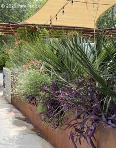 Patio Garden at De Poste Bistro, Austin Station