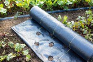 Pros and Cons: Landscape Fabric