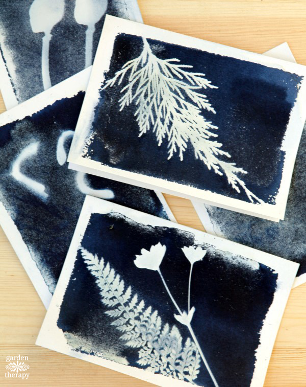 Save the beauty of your garden with cyano-type sunprint cards