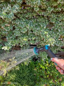 Seven Ways to Reduce Water Usage During Gardening