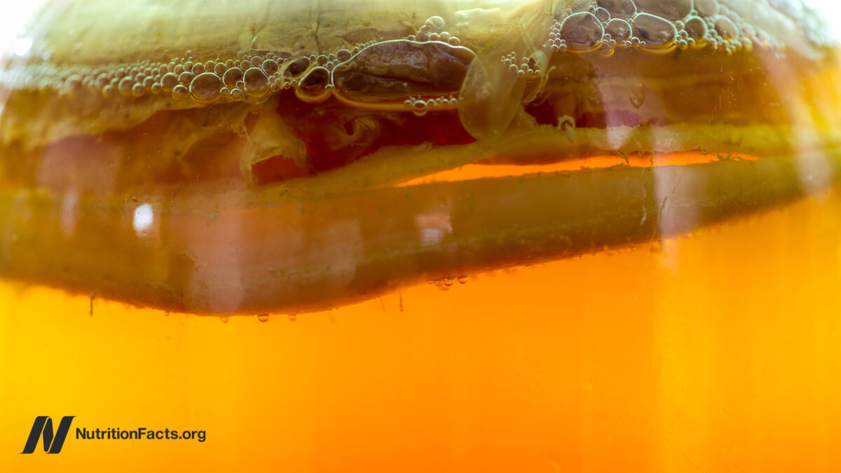 Should I drink kombucha?