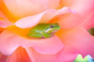 Simply stay with this stationary meditation