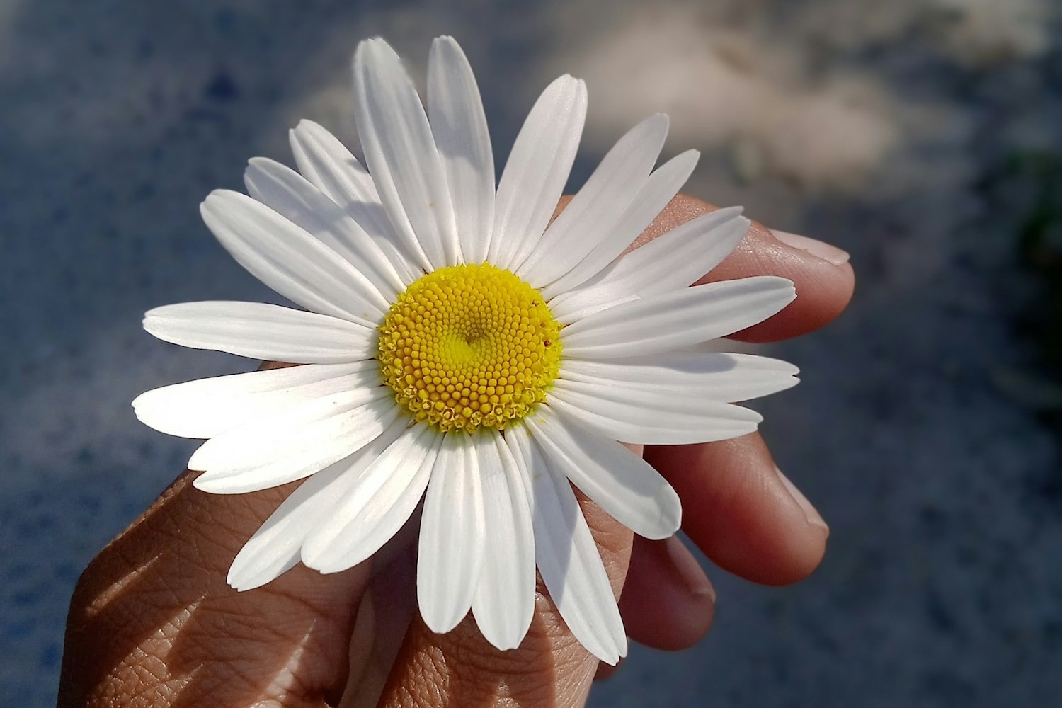 Thank you for the time of disaster