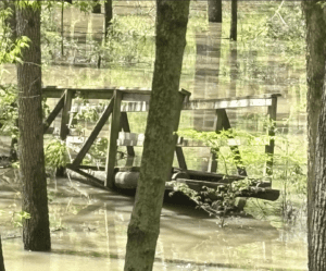 There's no harm. I can't think of it