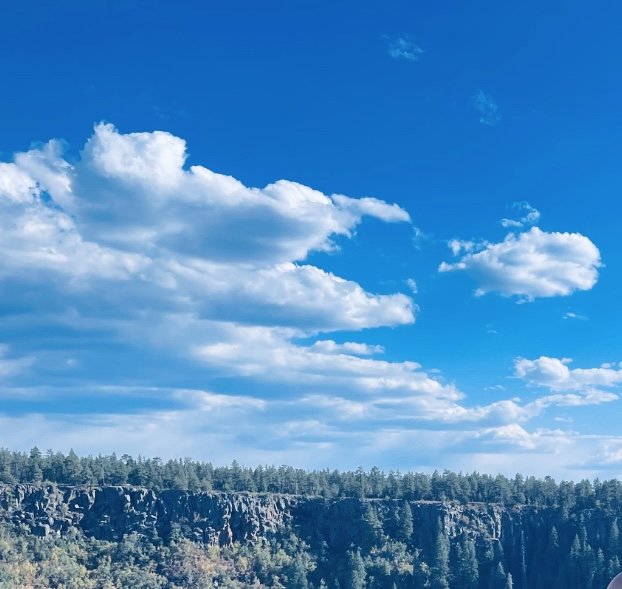 When memories of the past come to life