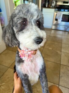 8.1 Friday Favorites